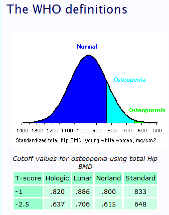 The Story of Osteoporosis and Osteopenia 12