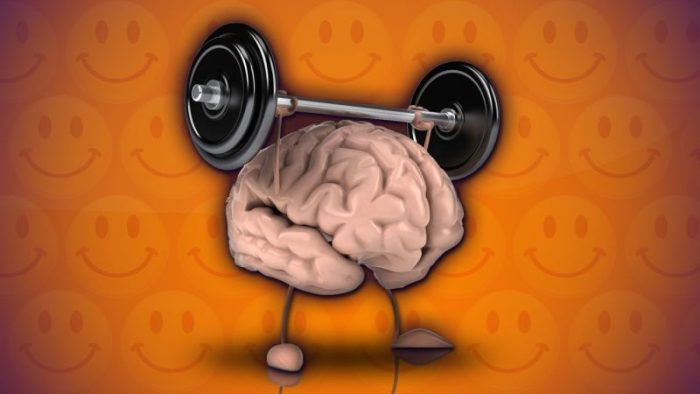 Brain Size May Increase with Exercise, According to Study 1