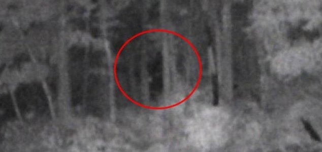 Photo of alleged Bigfoot released by group 9