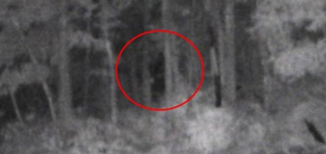 Photo of alleged Bigfoot released by group 21