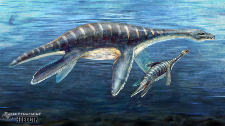 Plesiosaurus