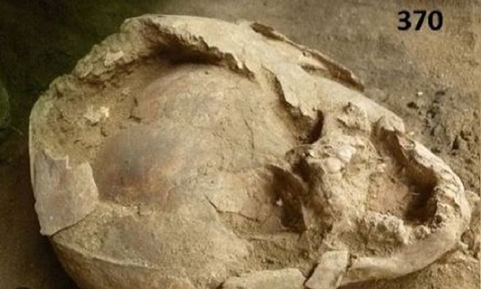 Archaeologists make a shocking discovery in an ancient funeral of children 11
