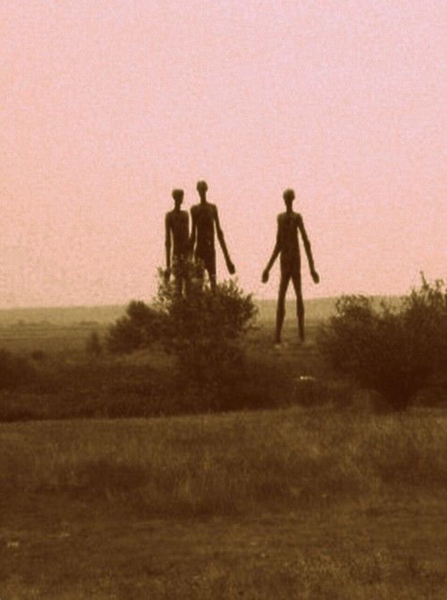 10 Shocking Secrets About The Tall White Aliens Revealed by Charles Hall 107