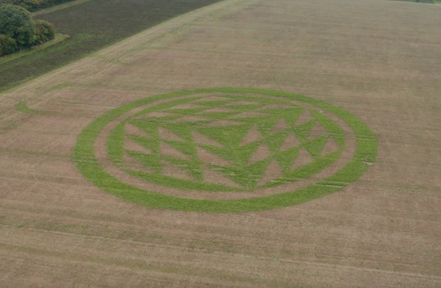 Mysterious Crop Circle Turns Green In Weathered Autumn Field 1