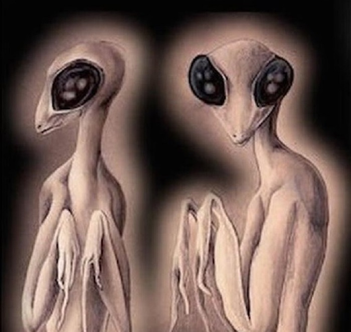 Insectoids - the least common extraterrestrial humanoids 13