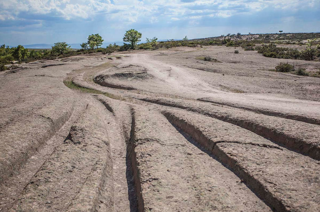 "14 million years" old vehicle tracks discovered(Video) 7