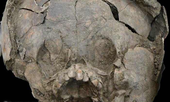 Archaeologists make a shocking discovery in an ancient funeral of children 10