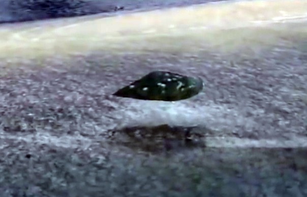 3D RADAR discovers three UFOs on the north Florida coast 9