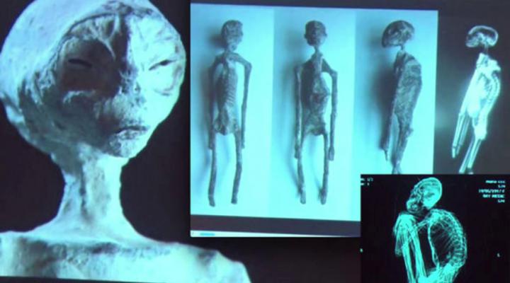 Update on the Nazca 3-Finger Mummies Scientific Study 1