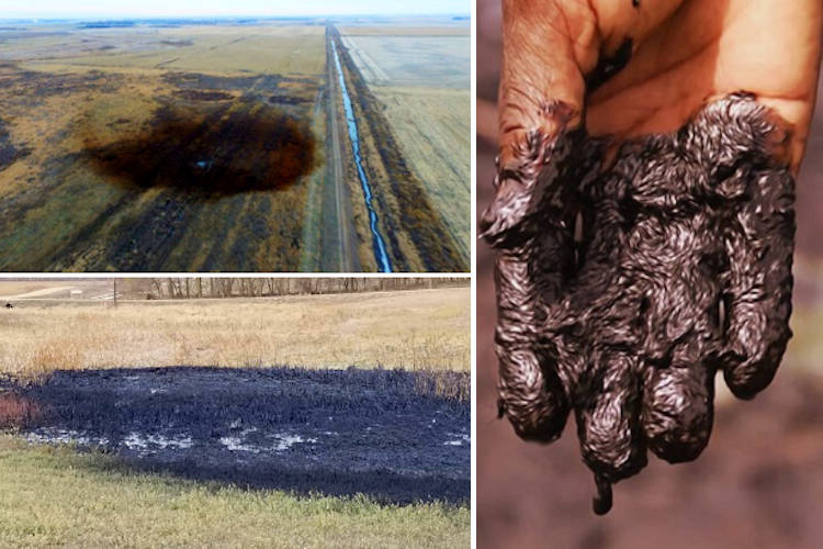 Latest Keystone Pipeline Oil Spill is Nearly 10 Times Worse Than Initially Thought 9