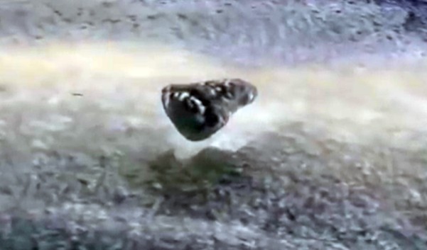 3D RADAR discovers three UFOs on the north Florida coast 8