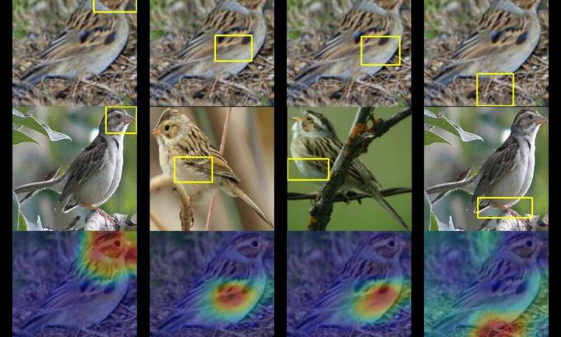 This AI birdwatcher lets you ‘see’ through the eyes of a machine 24