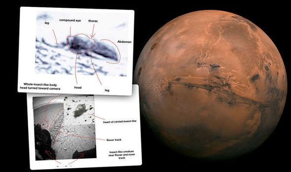 University excludes press release alleging evidence of insects on Mars