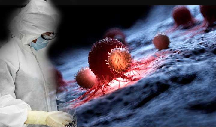 Scientists create a virus "capable" of destroying any kind of cancer 12