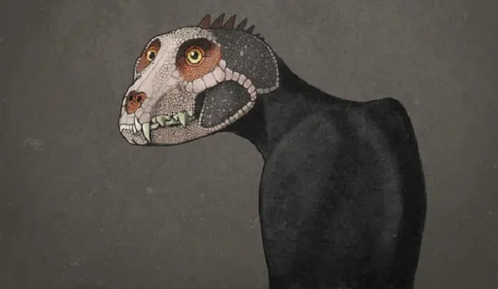 The dinosaurs probably looked very different 46