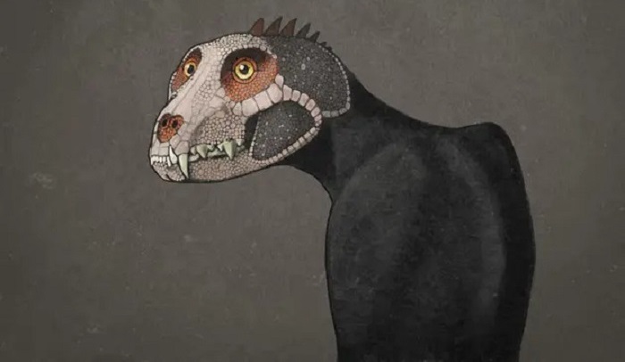 The dinosaurs probably looked very different 9