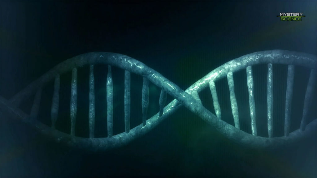 Scientists discover that the Y chromosome is disappearing from the blood of men 41