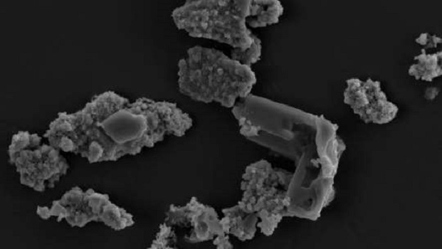 Life on Earth can be explained by asteroid-eating bacteria 1