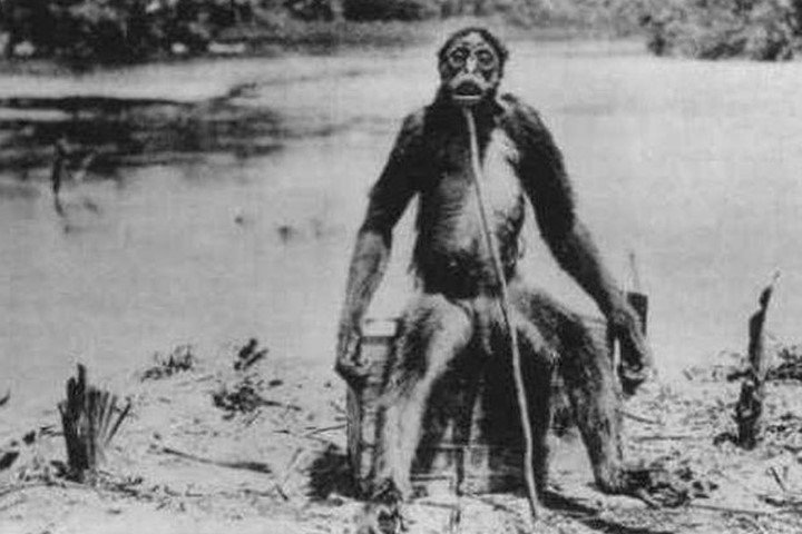 De Loys’ Ape: Does This Cryptid Exist? 1