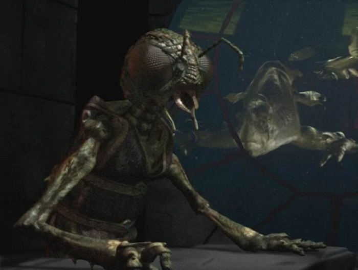 Eyewitnesses talk about their encounters with humanoid insects 12