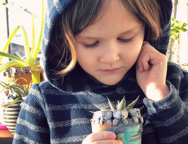 Preschooler raised 200 thousand dollars to save animals in Australia 3