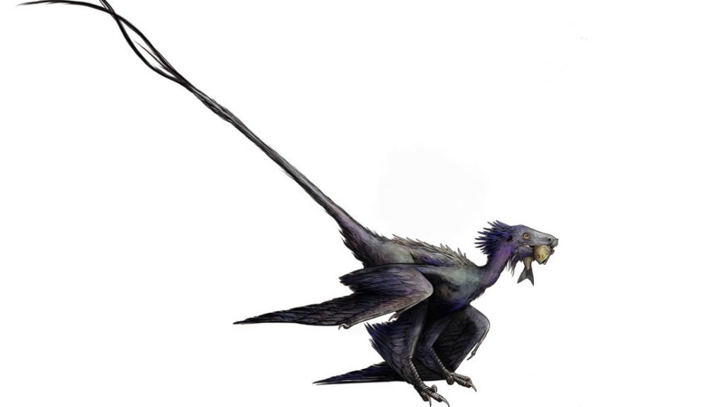 A previously unknown species of winged dinosaur very similar to a dragon discovered in China 3