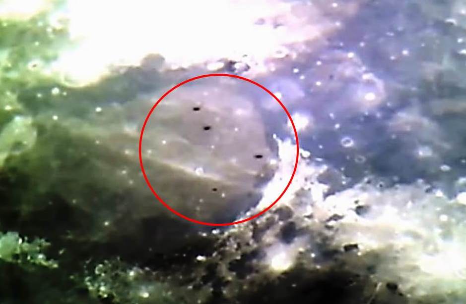Former NASA consultant: "Extraterrestrials are here on Earth, on the Moon and in our Solar System" 9