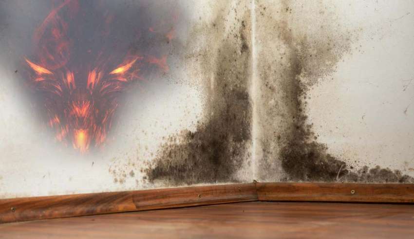 Mold on the walls, entrances for demonic entities 3