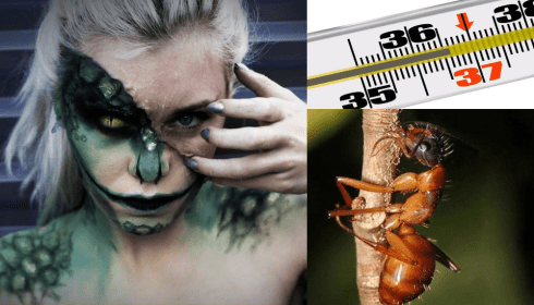 Stanford University has proven: reptiles or mushrooms rule the world. 32