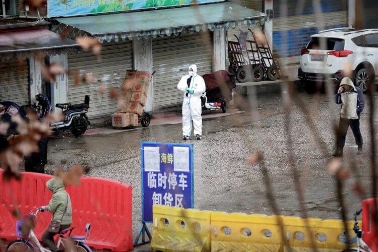 China has closed 13 cities due to coronavirus, and snakes are called the possible cause of the epidemic 8