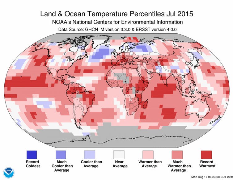 Worst marine heatwave on record killed one million seabirds in North Pacific Ocean 3