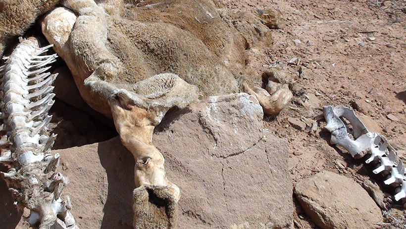 Skinwalker Ranch