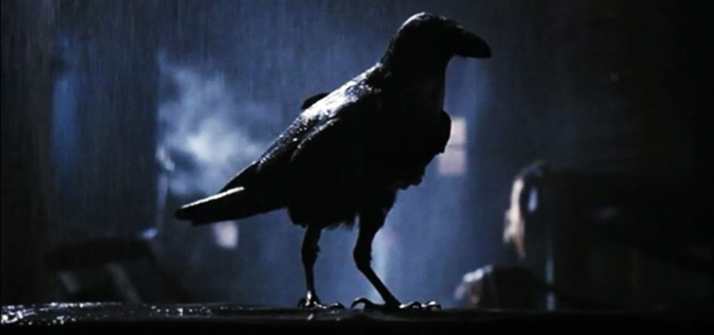 Huge flocks of crows fly to the Wuhan area. Do they smell death? 30