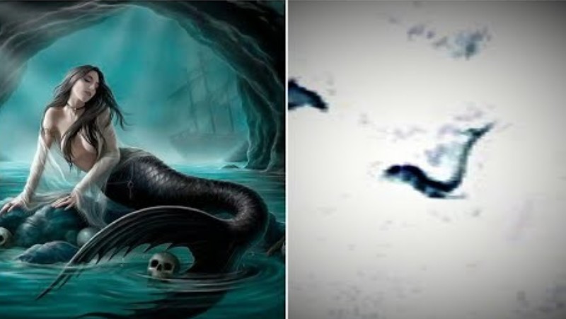 A creature assembling a Mermaid discovered in Antarctica: Google Earth user provides evidence 7