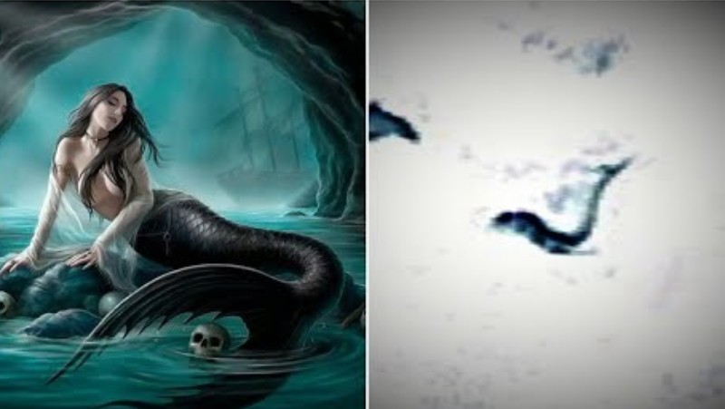 A creature assembling a Mermaid discovered in Antarctica: Google Earth user provides evidence 11