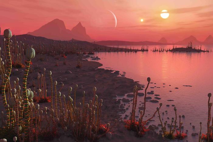 Hundreds of exoplanets with two suns discovered 5