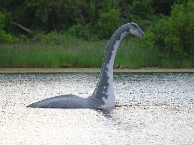 A video of the second “confirmed” appearance of Nessie appeared on the internet 11