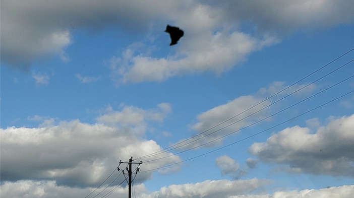 UFO flotillas near ISS and a Black UFO flying over Fairview, Texas 8