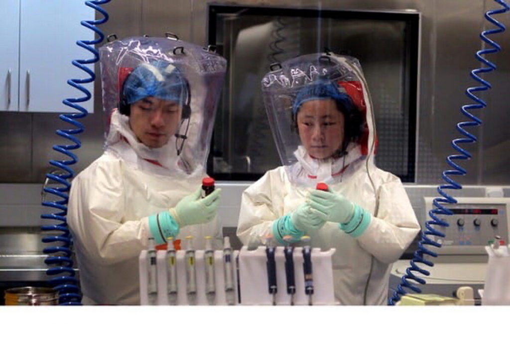 Chinese researchers: "Coronavirus came from the laboratories of Wuhan - There were no bats in the market" 13