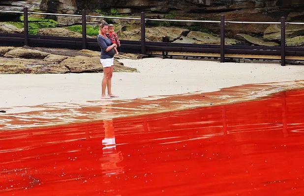 Rivers, ponds and even rains turn red all over the world 4