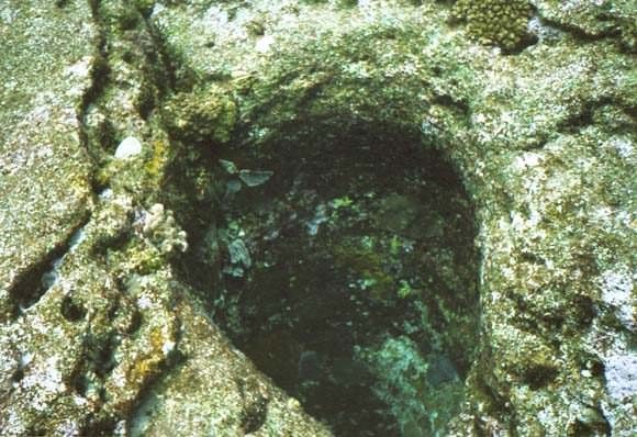 Yonaguni's underwater ruins - the remains of Lemuria? 56
