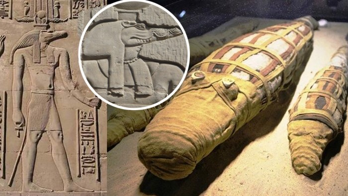 How the Egyptians worshiped a god with a reptilian head and why they needed thousands of crocodile mummies 3