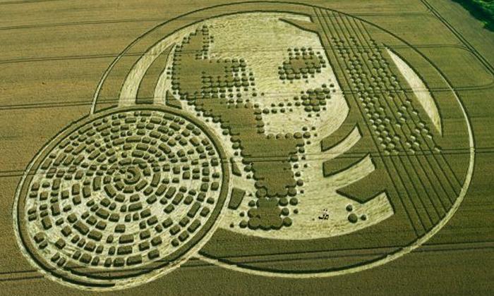 'Alien' message creativity. What the crop circles really hide 1