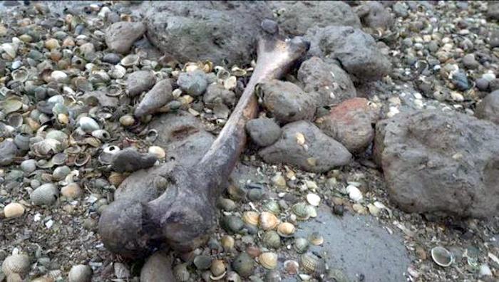 British authorities banned from visiting "Isle of the Dead", strewn with human remains 1