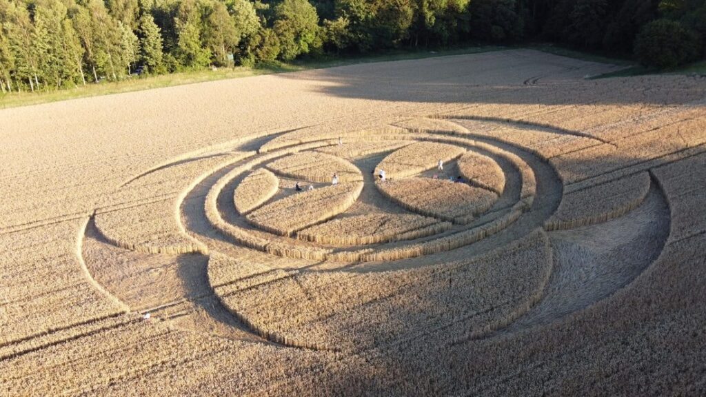 'Alien' message creativity. What the crop circles really hide 14