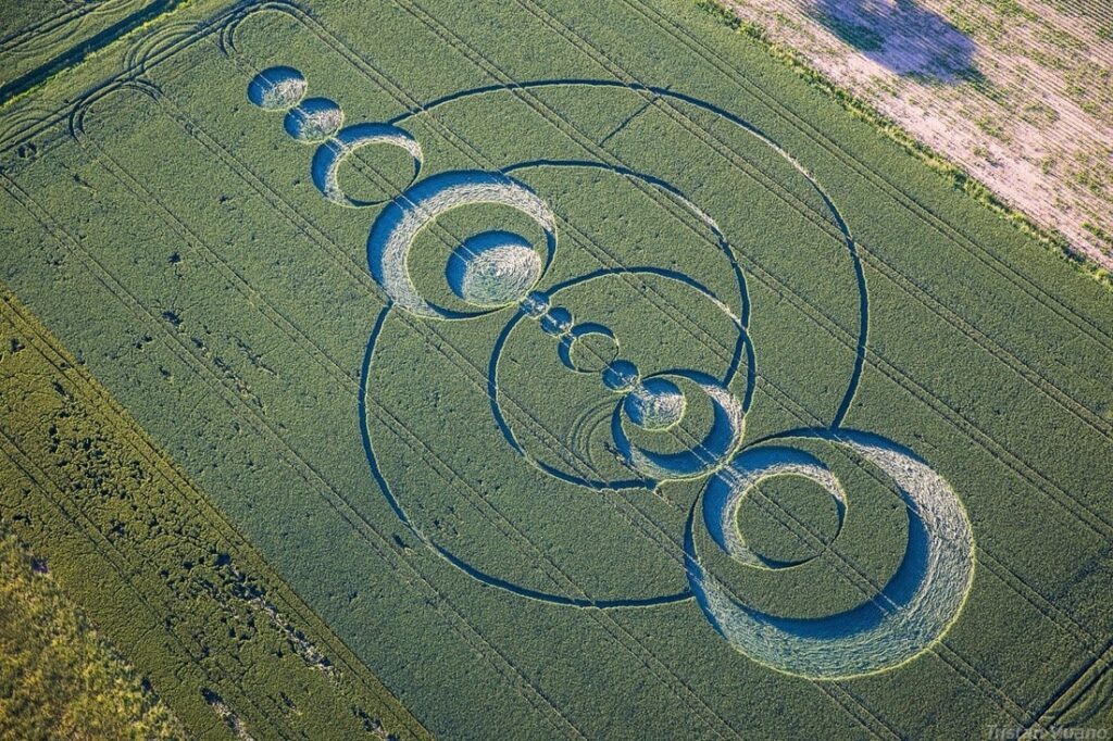 'Alien' message creativity. What the crop circles really hide 19