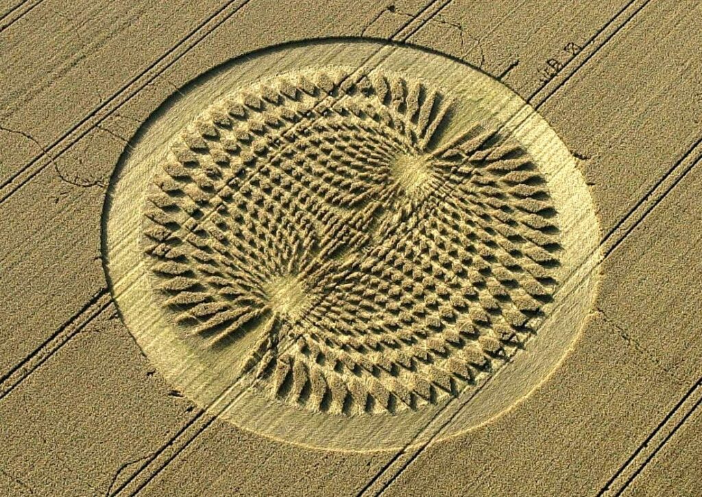 'Alien' message creativity. What the crop circles really hide 20