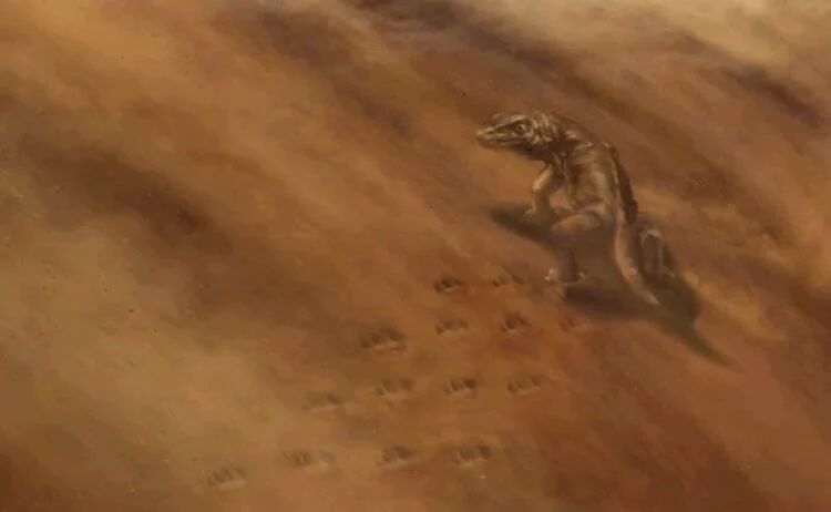 In the USA, a rock collapsed and revealed traces of mysterious animals of antiquity 35