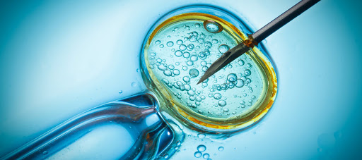 Designing people: GMO generation 5