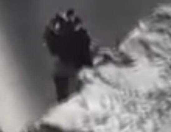 Iceland accidentally filmed a transforming alien watching people 4